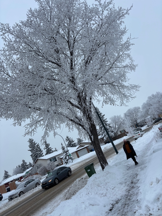 My personal Image 10